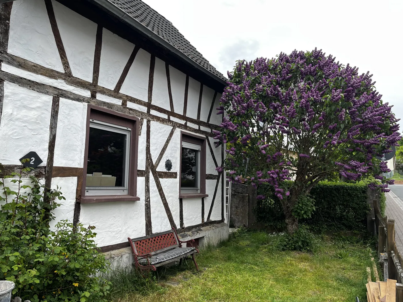 Fachwerkhaus mit weißen Gefachen und dunklen Balken, davor ein blühender Fliederbaum und eine Gartenbank